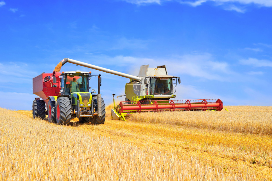 Copa-Cogeca oczekuje się, że rolnicy w UE w 2022 r. zbiorą 277 mln ton zboża, o 4,4 proc. mniej niż w 2021 r.; Fot Shutterstock