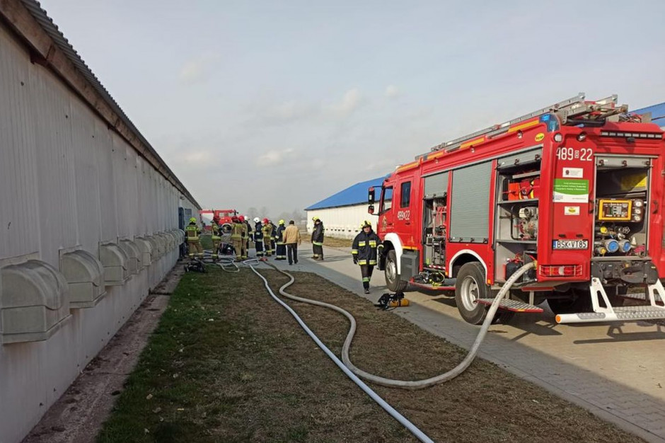 Pożar kurnika gasiło 9 zastępów strażaków zawodowych i ochotników, fot. KP PSP Sokółka