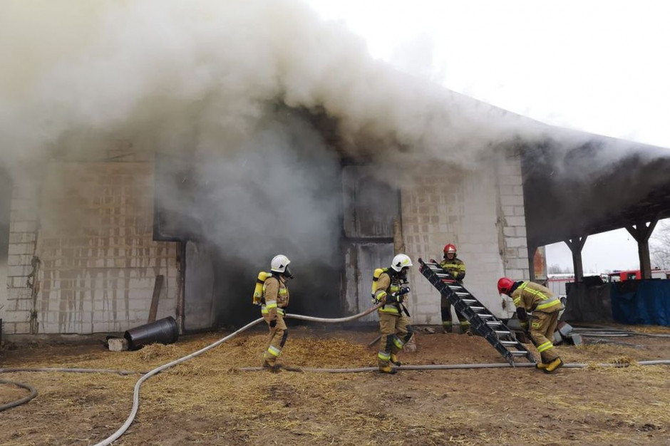 Strażacy gasili pożar na fermie przez 11 godzin, Foto: PSP Olecko