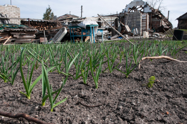Ukraińscy rolnicy pracują w kamizelkach kuloodpornych