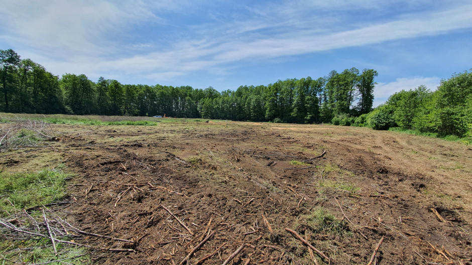 Pnie i korzenie stanowią jeden z większych problemów na polach odzyskiwanych z ugoru Fot. K. Bogacz