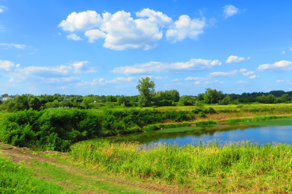 Proretencyjne zmiany w Prawie wodnym to ułatwienia dla rolników, fot. atrix9 z Pixabay