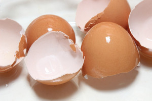Najstarsze zjedzone jajo kurze