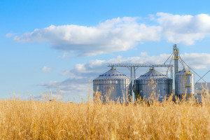 Projekt nowelizacji o ułatwieniach dla gospodarstw rolnych wz. z zakłóceniami na rynku zbóż