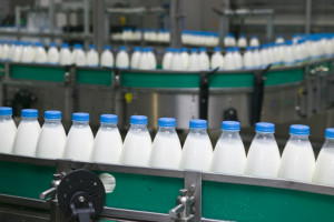 Rosnący popyt na mleko generuje wzrost cen