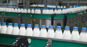 Rosnący popyt na mleko generuje wzrost cen