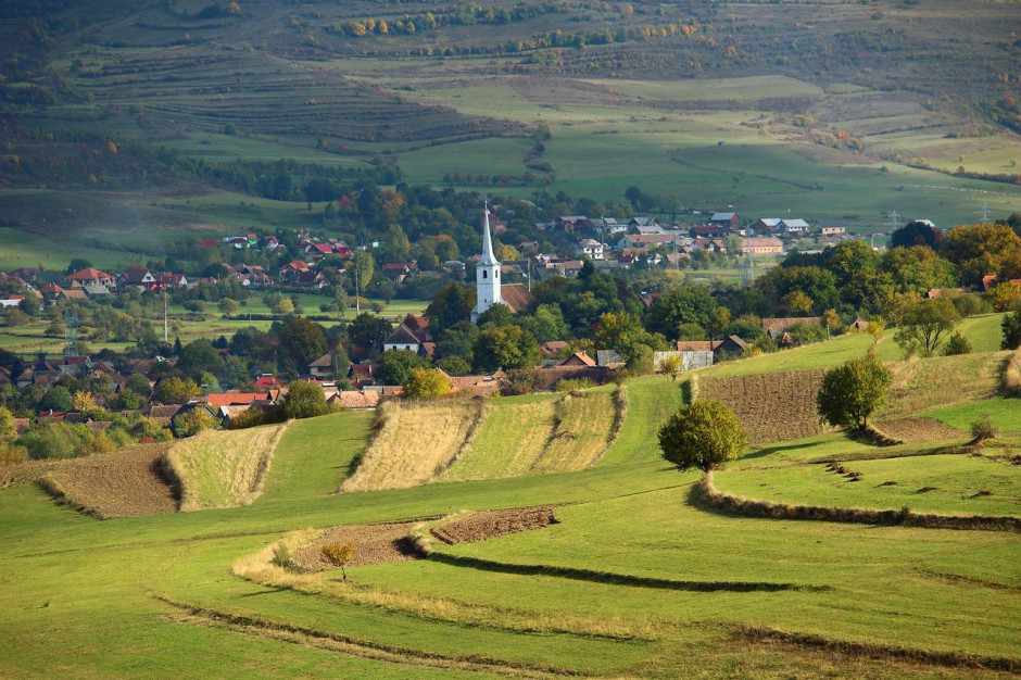 Rumunia: liczba gospodarstw od 2010 do 2020 roku zmniejszyła się o 25,2 proc. Fot. pixabay.com