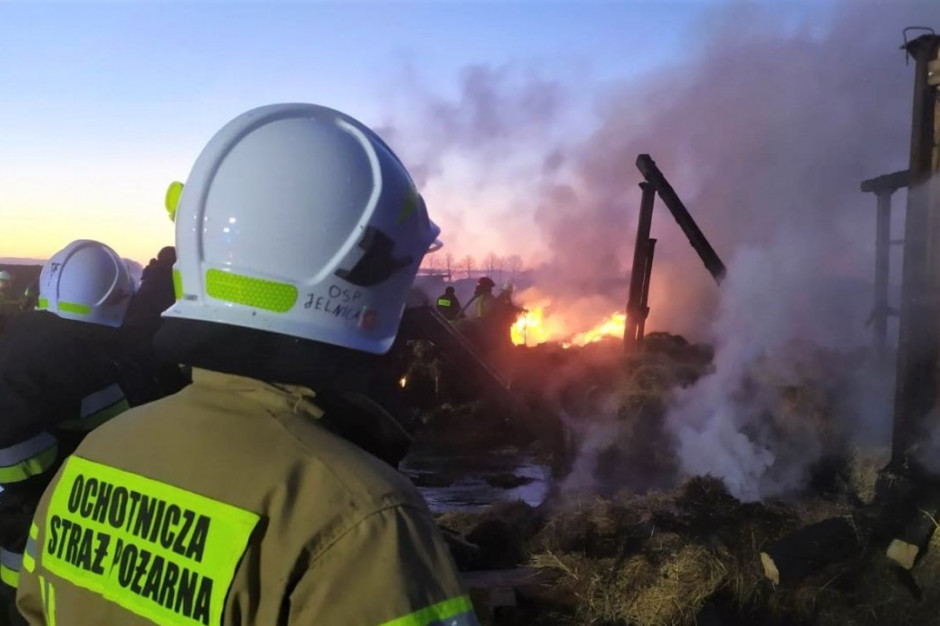 W pożarze gospodarstwa w Zaściankach ucierpiały konie, Foto: OSP Jelnica