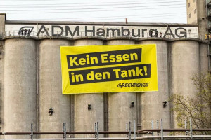 Greenpeace przeciwko biopaliwom: Żadnej żywności w baku!