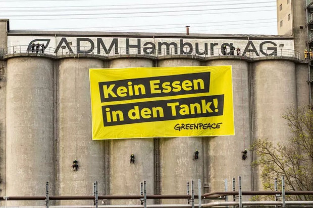 Ekolodzy są przeciwni dalszej produkcji biopaliw, fot. Geenpeace Greenpeace przeciwko biopaliwom: Żadnej żywności w baku!