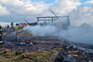 Pożar w gospodarstwie – zginęło 9 sztuk bydła