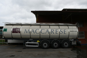 Maccarese farm – poznaj największą farmę mleczną we Włoszech