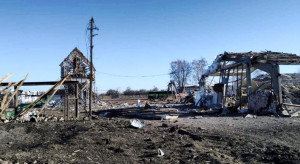 Hodowla bydła podczas wojny – trudna sytuacja ukraińskich hodowców
