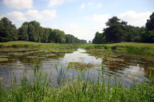 Dolnośląskie: W Stawach Milickich trwają odłowy ryb