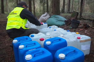 Ponad 500 litrów alkoholu odkryła KAS w leśnej bimbrowni na Podlasiu