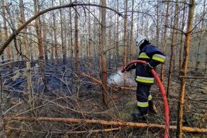 Płonął las w Wielkopolsce