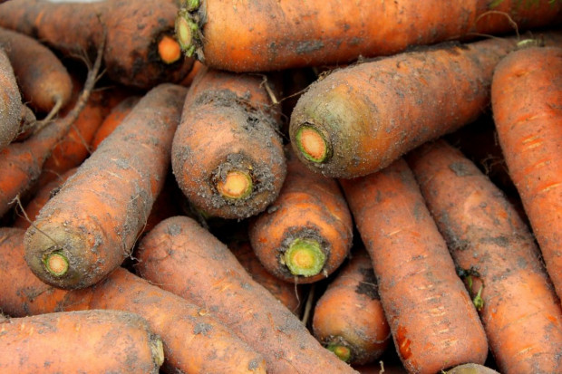 Między wojną a inflacja brak miejsca dla organicznej marchewki - uważaja niemieccy rolnicy, Foto: Pixabay/_Alicja_ Konsumpcja żywności ekologicznej w Niemczech spada