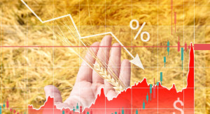 Znamy raport USDA na nowy sezon, który wpływa na giełdowe ceny zbóż. Prognozy są niższe