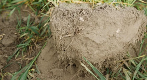 Ograniczanie dawek nawozów w sposób bezpieczny dla roślin i gleby