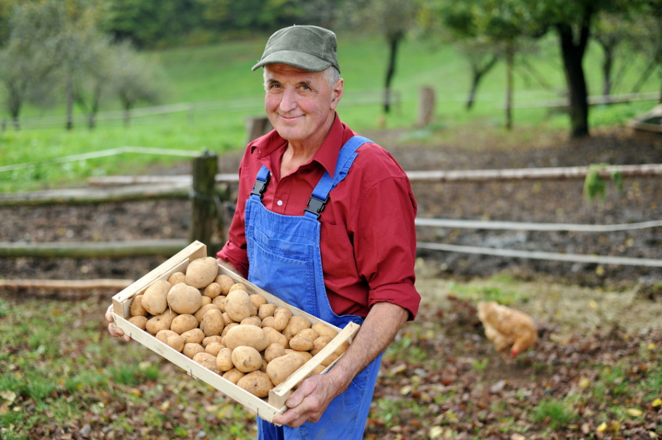 Zmiany w rolnictwie ekologicznym. Co one wnoszą? fot. Shutterstock