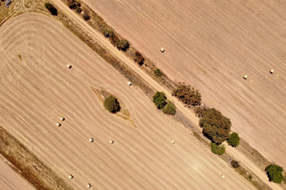 Z farmy w Australii złodzieje ukradli 36 tys. litrów płynnego nawozu azotowego; Fot.pixabay Fot.pixabay.com