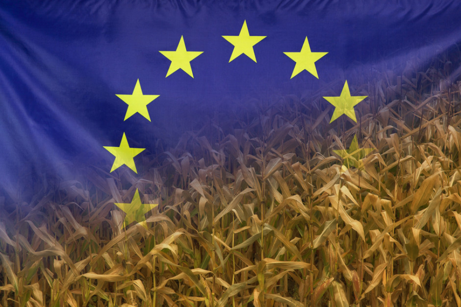 Czy będą odstępstwa we Wspólnej Polityce Rolnej? Tego chcą eurodeputowani, fot. Shutterstock