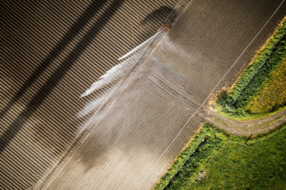 Rolnik zmuszony jest nawadniać swoje pole ze względu na pogłębiającą się suszę Fijnaart, Holandia, fot. PAP/EPA/ROB ENGELAAR 