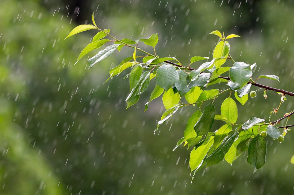 Według prognoz intensywnych opadów deszczu należy się spodziewać w całej wschodniej części kraju Fot.Pixabay.com