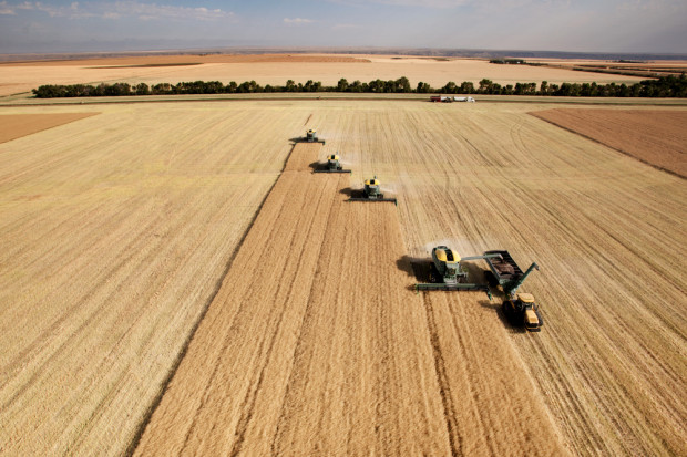 Ukraina ograniczy produkcję zbóż w 2023 r.