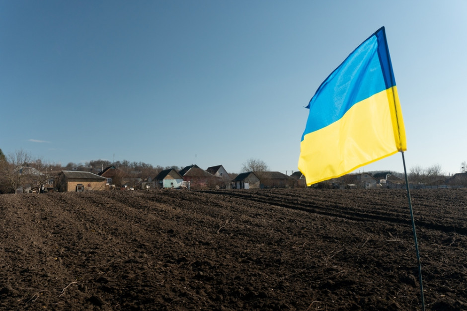 Na Ukrainie do 20 kwietnia obsiano 1 mln ha zbożem i bobowatymi; fot. Shutterstock