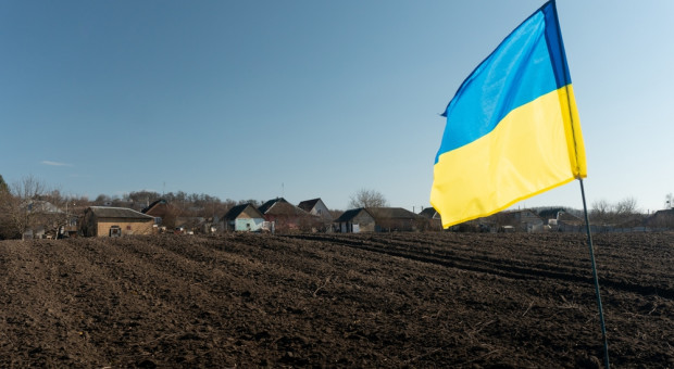 Ukraina obsiała 90 proc. planowanych powierzchni zbożem jarym