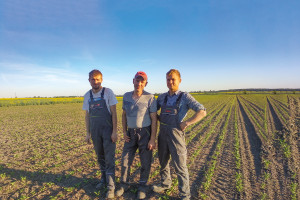 Jak rolnicy poprawiają opłacalność w gospodarstwie z uprawą pasową?