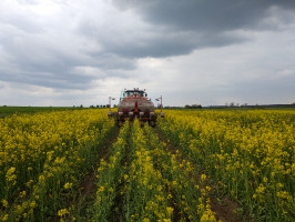Używany w gospodarstwie agregat do uprawy pasowej Czajkowski radzi sobie nawet podczas pracy w tak ekstremalnych warunkach, jak wysiew w kwitnący rzepak