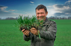 Rolnictwo w Ukrainie