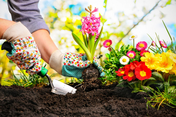 Polacy coraz chętniej korzystają z usług ogrodników