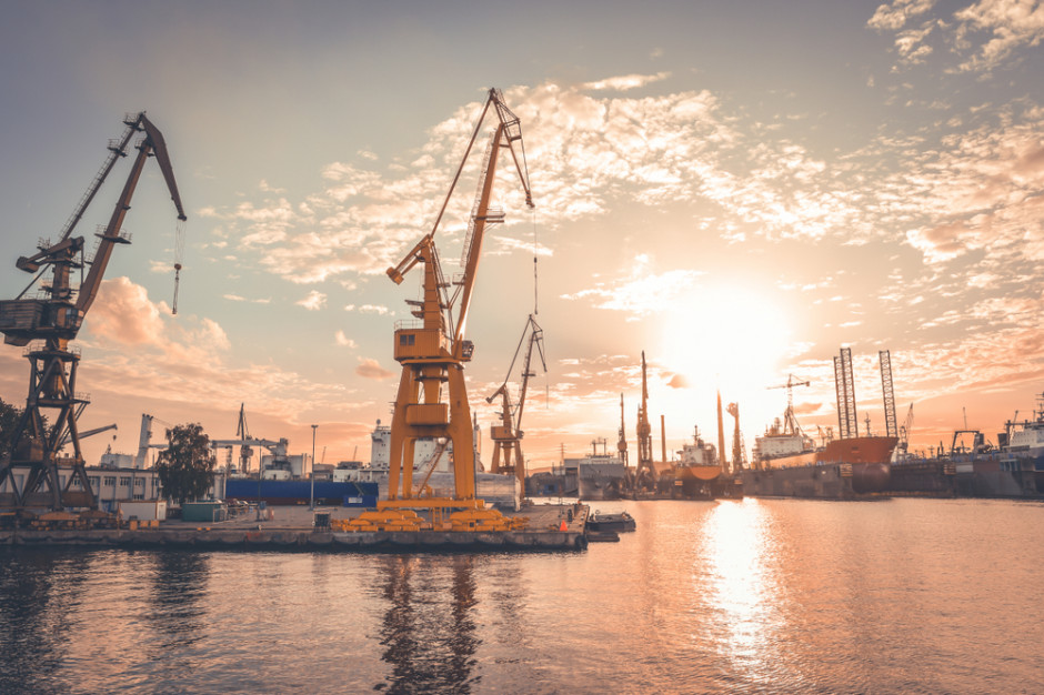 Zdaniem Ardanowskiego port do przeładunku zboża mógłby powstać w Gdyni, fot. Shutterstock