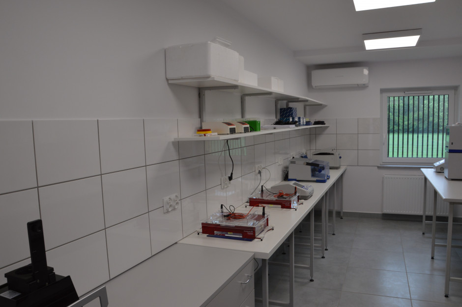 Jedno z pomieszczeń laboratorium biotechnologicznego. Fot. M.Wołosowicz