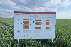 Trzy technologie ochrony zbóż proponowane przez Osadkowski S.A. – jak poradziły sobie w tym sezonie?
