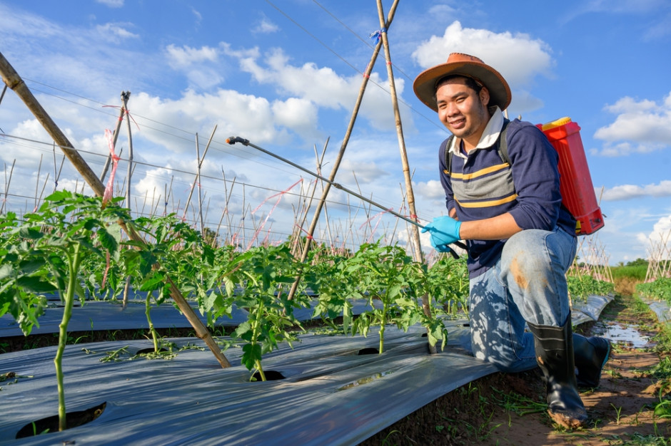 W ciągu najbliższych 10 lat chińskie rolnictwo uzyska trwalsze podstawy dla swej działalności, fot. Shutterstock