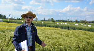 Saaten-Union: szeroka oferta nowych odmian zbóż