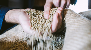 Rynek zalewają oferty zbóż z Ukrainy [Aktualizacja]