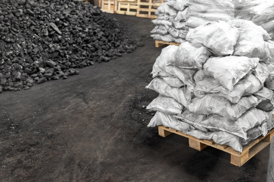 Rząd postanowił przyjrzeć się o problemowi z dostępnością węgla w sklepie Polskiej Grupy Górniczej, fot. Shutterstock