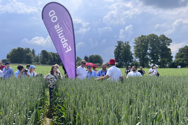 Bayer przedstawia w warunkach polowych nowości produktowe
