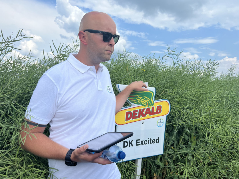 dr Szymon Hoppe omówił najważniejsze odmiany rzepaku marki Dekalb