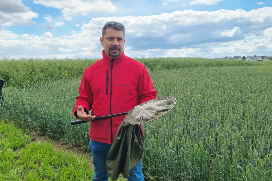 Z pomocą czerpaka entomologicznego dr Grzegorz Pruszyński wskazał, jakie obecnie szkodniki zagrażają łanom zbóż (fot. JŚ-S).