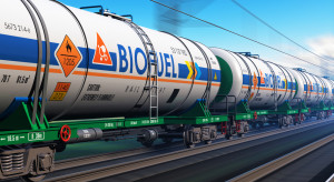 Import chińskiego biodiesla zbija ceny rzepaku w UE. Niemcy badają sprawę