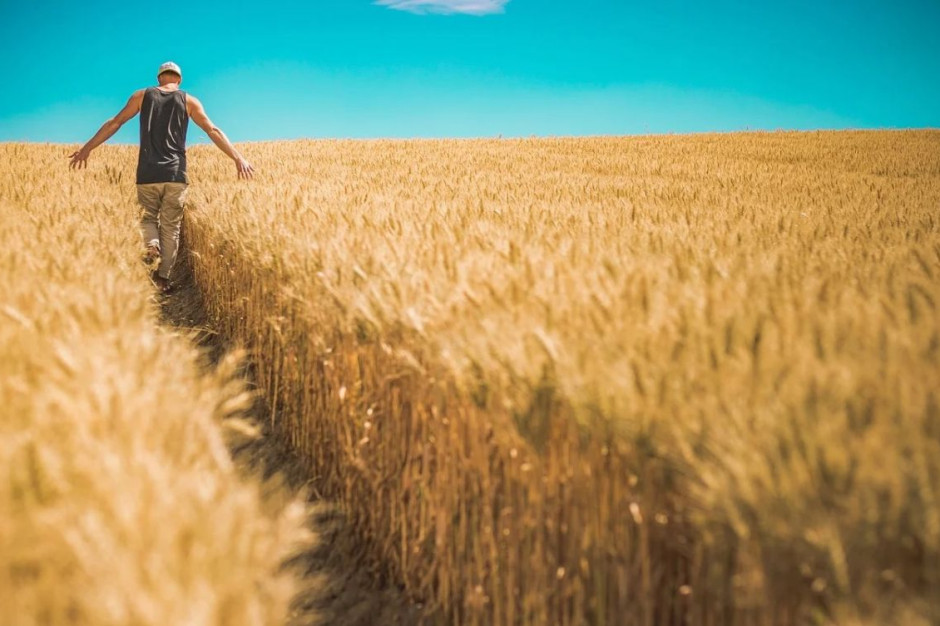Plan Strategiczny dla WPR 2023-2027 wprowadza nową definicję rolnika aktywnego zawodowo, fot. pixabay