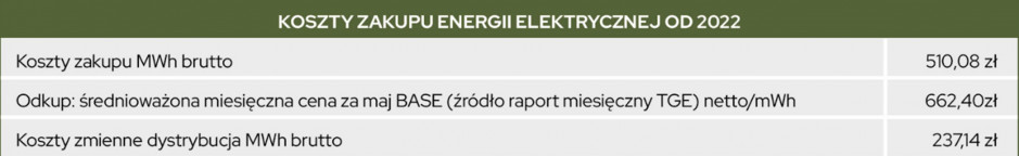 Koszty zakupu energii elektrycznej od 2022 r. Źródło: Da Vinci Green Energy