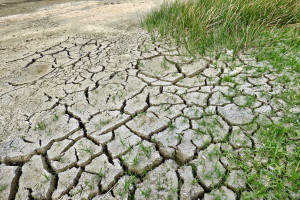 IUNG: Nadal jest deficyt wody dla roślin uprawnych w całym kraju