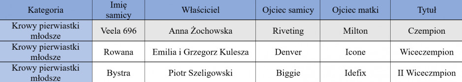 Krowy pierwiastki młodsze, wystawa w Szepietowie 2022, fot. A.T.